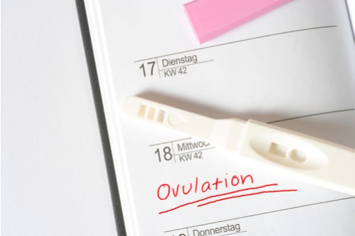 What Do I Need To Know About The Day 21 Progesterone Test